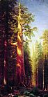 Grove Canvas Paintings - The Great Trees Mariposa Grove California